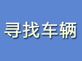 甘井子寻找车辆